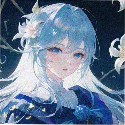 胶片收藏家的头像